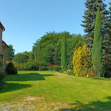 Apartman Za Lesem Červený Kostelec Buitenkant foto