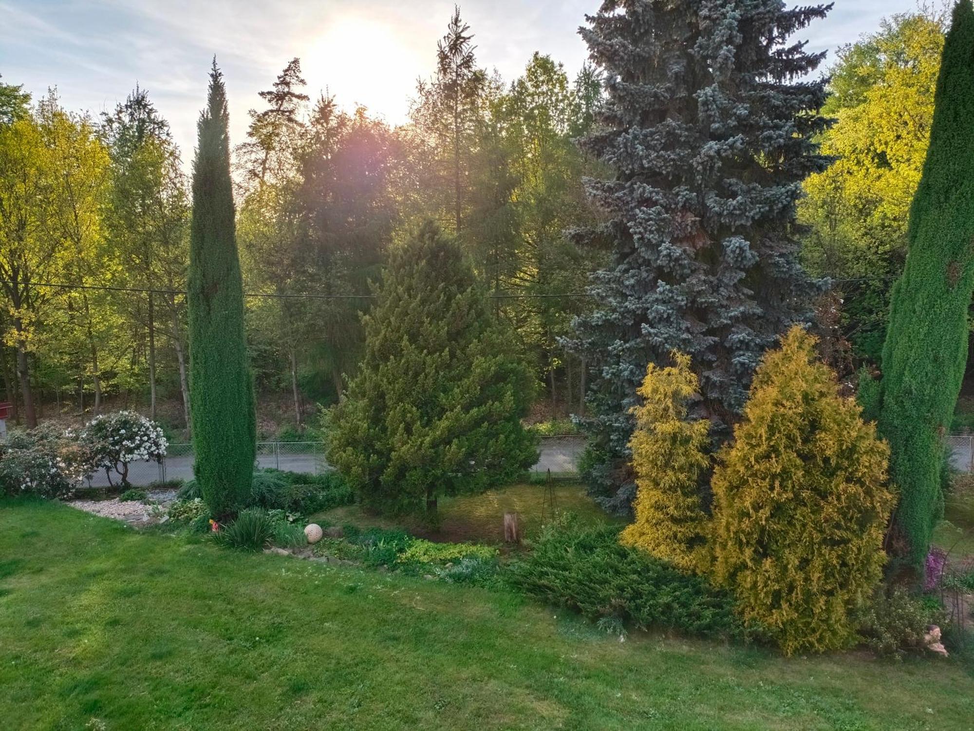 Apartman Za Lesem Červený Kostelec Buitenkant foto